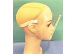 Adult Clear Plastic Medical Anti Fog Face Shield Visor Anti Glare Moveable Face