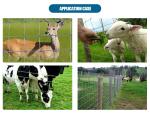 High Quality Finest Price Farming Wire Mesh Field Fencing Fences Hot Dipped