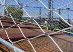 2.0mm 35*35mm Stainless Steel Ferrule Mesh Black Zoo Netting