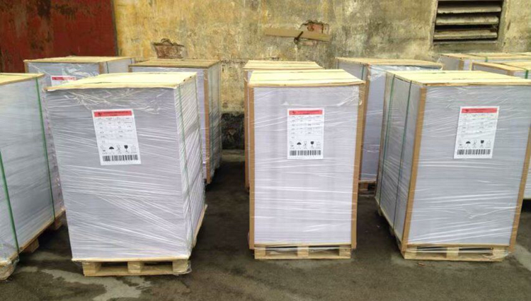 Good Quality 230d 250g 300g White FBB C1S Cardboard Paper For Name Card