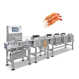 China Smart Auto Conveyor Check Weigher Machine For Red Shrimp Sausages Sorter Belt Weigher Weight Checker on sale