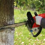 2.3KW Gasoline Chain Saw 550ml 7.8Kg Chain Wood Cutting Machine