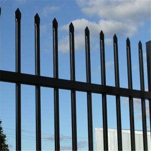 Wholesale Powder Coated Steel Security Fence , Wrought Iron Spear Top Steel Palisade Security Gates from china suppliers