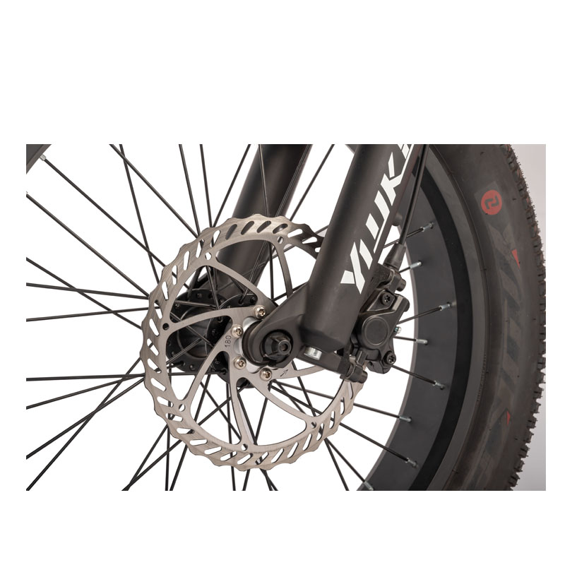 DOMANCA 2024 High Speed Dirt Bike Off-Road Electric Fat Tire E Bike with 20"4.0 Tire