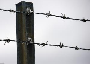 Wholesale Use Of Prison Walls Anti Climb Galvanized Barbed Wire Roll from china suppliers