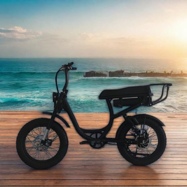 Max Speed 42km/h 48V 13Ah/14Ah Lithium Battery Electric Bike for Female City
