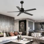 Loft Style 52 Inch 110VAC Metal Blade Pedestal Ceiling Fan Time Setting RF
