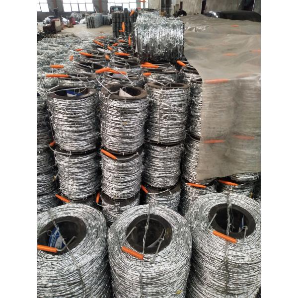 12*14 Bwg 60g High Zinc Coated Galvanized Barbed Wire Positive Used With Protective Fence