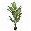 Artificial Golden Dieffenbachia Plant 43 Inch Tall Fake Tropical Lifelike Tree