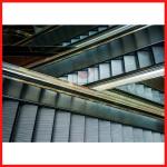 Outdoor / Indoor High Speed Elevator Heavy Escalator Type For Large Passenger 0