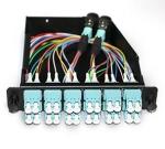OM3 OM4 Male Type MTP MPO Fiber Optic Patch Cord