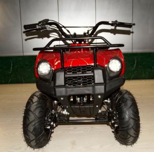 Wholesale 49cc New Model small ATV,2-stroke.air-cooled.hot sale models in Eurpoe.good quality. from china suppliers