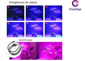 Wholesale High Brightness LED Greenhouse Lighting , Home Depot Bulbs 30W LED Herb Grow Light from china suppliers