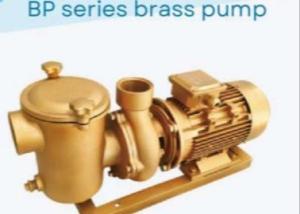 Wholesale BP30 Swimming Pool Water Pumps For Swimming Pool from china suppliers
