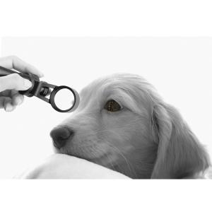 Wholesale Magnification 5X Veterinary Ophthalmic Slit Lamp 0.2mm Minium Slit Width from china suppliers