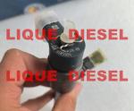 BOSCH Common rail injector 0445110454 0 445 110 454 0445 110 454 Fuel Injector