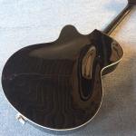Hollow body jazz electric guitar,Double F hole, tremolo system, black high
