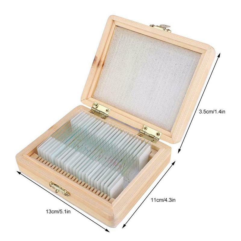 Biological Science Education PS25 Prepared Microscope Slide Set With Wooden Case
