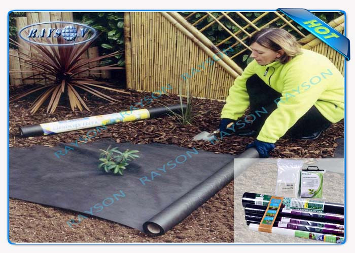 Agriculture Non Woven Cover Control Fabric PP Spunbond Nonwoven Fabric With 3% UV