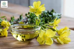 Wholesale 9% Linolenic Acid Evening Primrose Oil For Cosmetics Health from china suppliers
