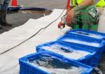 Inversion CIPP Liner Trenchless Technology Training Repair From Damage Film To