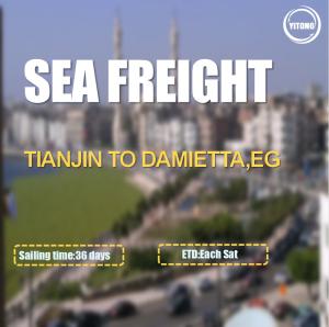 Wholesale FOB CIF International Sea Freight Logistics From Tianjin To Damietta Egypt from china suppliers