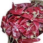 10 - 15cm Dried Guajillo Chili 50BLS For Mouthwatering Stews