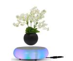 colorful led light magnetic levitation air bonsai plant pot tree succulent
