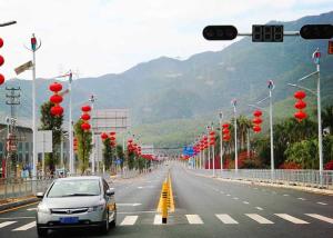Wholesale High Lumen Solar And Wind Powered Street Lights 50,000 - 100,000 Hours from china suppliers