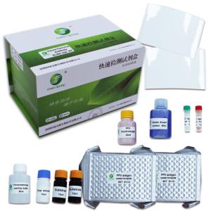 Wholesale ISO9001 Diagnostic Porcine Veterinary Test Kit 192 Wells Per Kit PPV from china suppliers