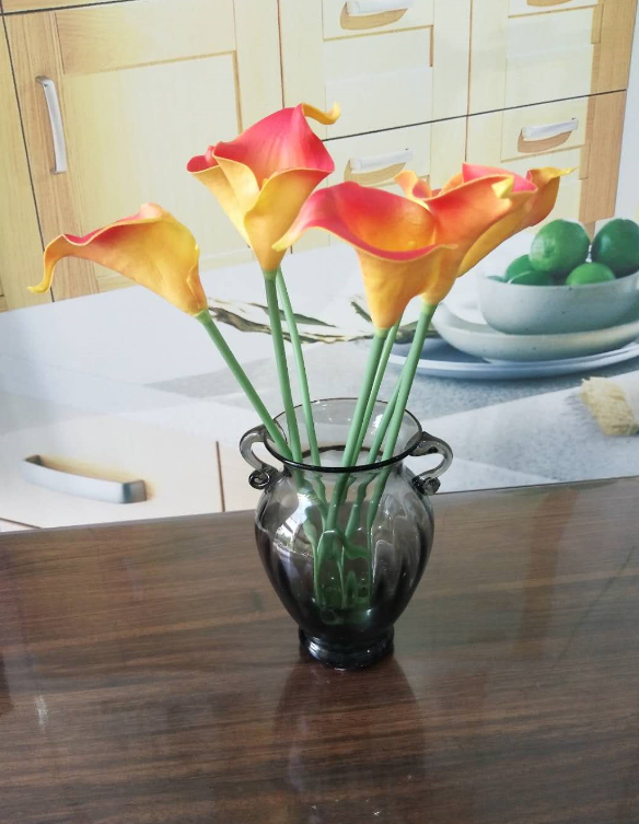 Solid Color Two Ears Glass Bottle Vase , Flower Vase Glass For Home Decor