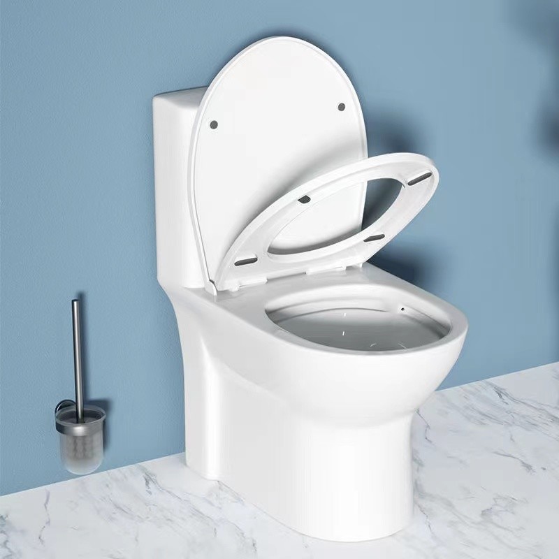 Siphonic One Piece Water Closet Toilet Dual Flush Sanitary Ware