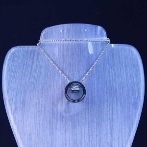 Wholesale New Fashion Ladies 316L High Quality Charming Pendant Chain Necklace LPN49 from china suppliers