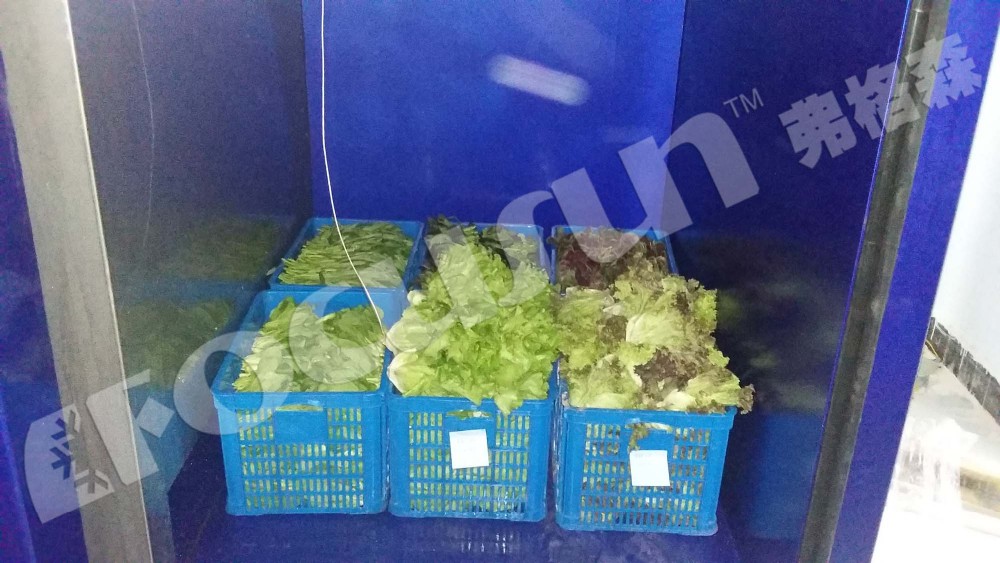 Focusun Vacuum Cooling Equipment for Fruits and Vegetables 380V/3Ph/50Hz Voltage