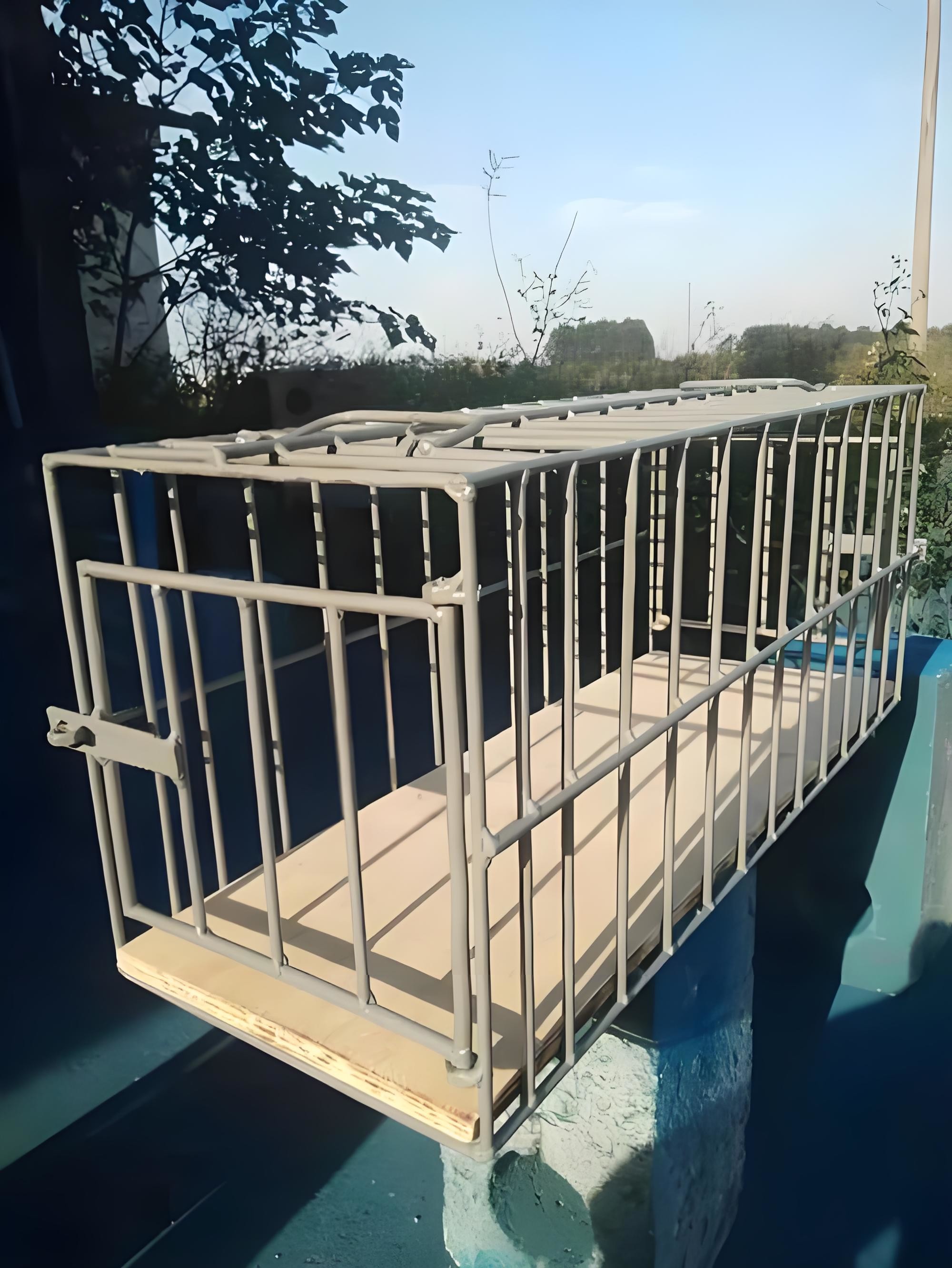 2M Large Humane Live Animal Trap Cage Single Door Animal Catcher Cage