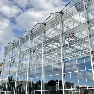 Wholesale Multispan Metal Frame Venlo Glass Greenhouse With High Durability from china suppliers