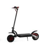 10 inch 700w dual motor 2 wheels folding electric scooter with double battery