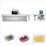 304 Stainless Steel Vacuum Pack Sealer Tray Sealing Machine Horizontal Type