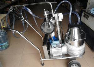 Wholesale Dairy Stainless Steel Mobile Milking Machine With Electric Motor , 25L from china suppliers