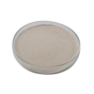 Wholesale 20000U White Alpha Amylase Powder Cas 9000 90 2 For Premix -Heat Stable Alpha Amylase from china suppliers