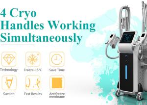 Wholesale Hot Germany Netherlands CE Approved clinic Cryolipolysis kryolipolyse body sculpting machine from china suppliers
