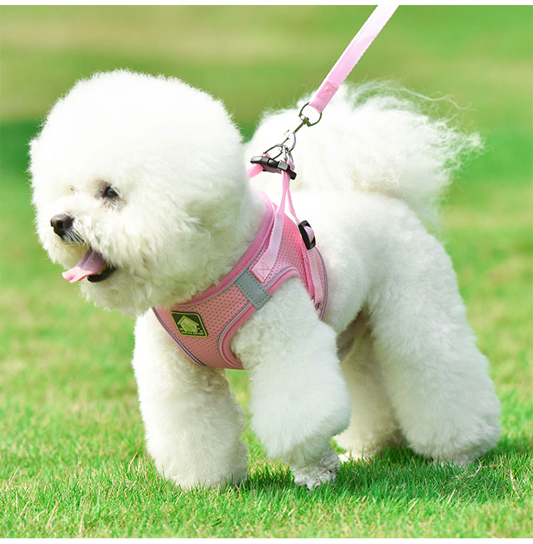 No Pull Quick Release Adjustable Dog Pet Collar Leash Vest New Arrivals