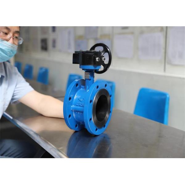Blue 10mm Flanged Butterfly Valve In Water Supply