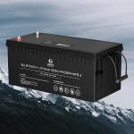 OEM ODM LiFePO4 lithium battery 12V 200Ah Lithium Battery Customized battery