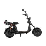 Citycoco 1500W 2 Wheel Electric Scooter Fat Tire Off Road Electric Motorcycle