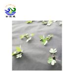 Landscape Fabric Under Mulch 60Gsm Weed Barrier Fabric