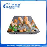 P3.91 Portable Outdoor And Indoor Rental Digital Boards Smd1921 Video Screen Led
