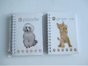 Wholesale Good quality competitive price hardcover offset printing wholesale school notebook from china suppliers