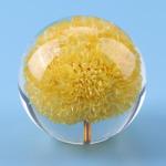 Business gift Flower Resin Ball , Crystal acrylic paper weight