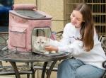 Cat Dog Hiking Backpack Pet Travel Bag Airline Approved Breathable Large 16.9 In